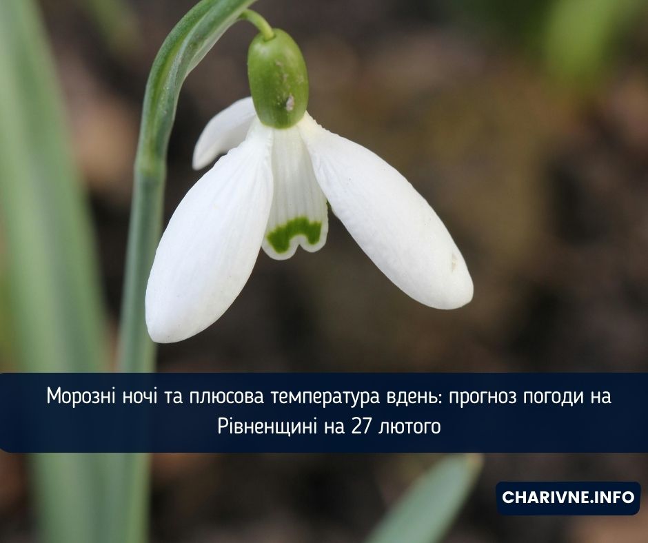 Фото ілюстративне